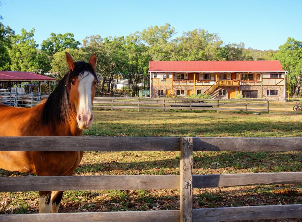 Pilliga Pottery Creative Farmstay Coonabarabran Δωμάτιο φωτογραφία