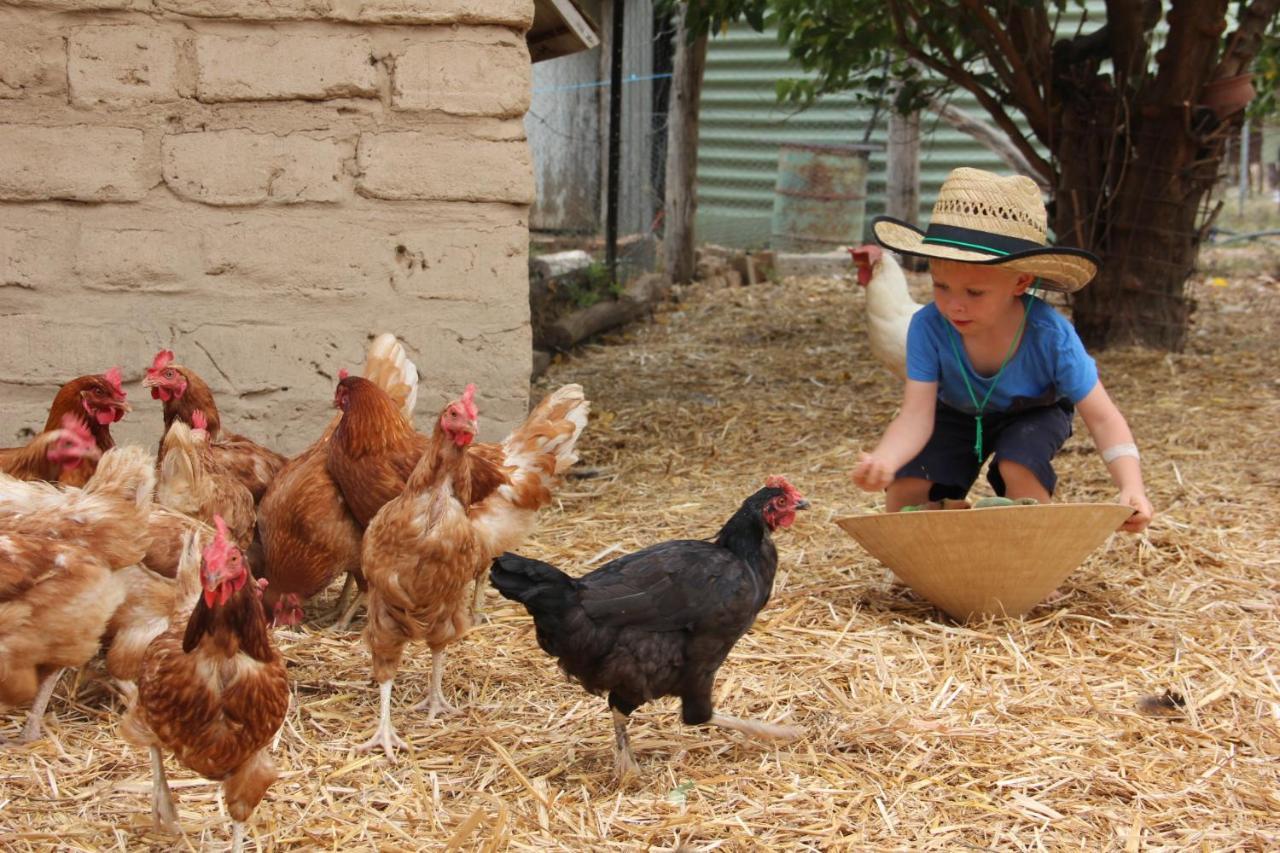 Pilliga Pottery Creative Farmstay Coonabarabran Εξωτερικό φωτογραφία